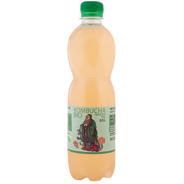 Kombucha bancha 500 ml BIO STEVIKOM